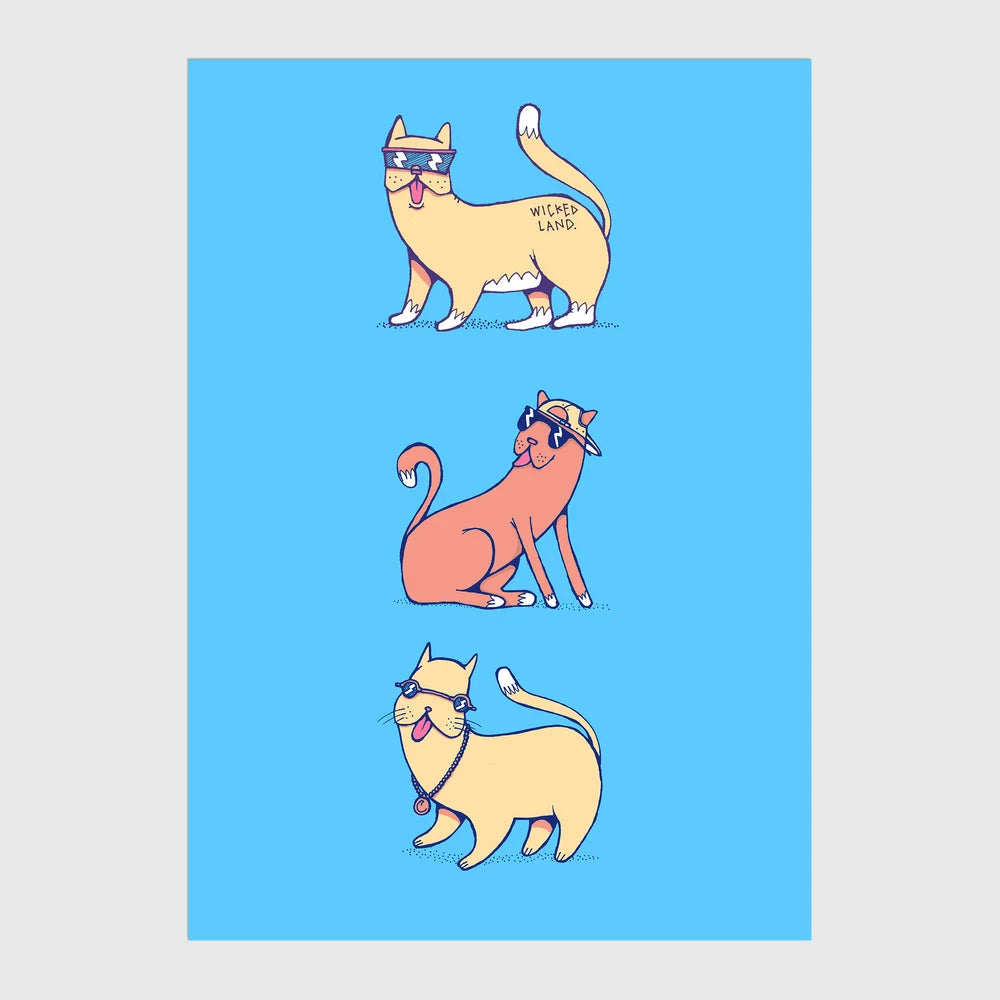 Cool Cats A6 Postcard
